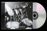 Ars Tenebrae - Corpus Angelique
